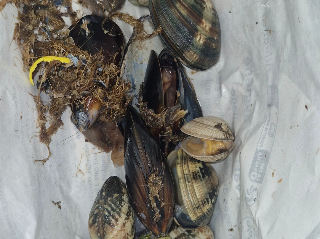 Centre Commercial Grand Var-La Valette-du-Var必去景点