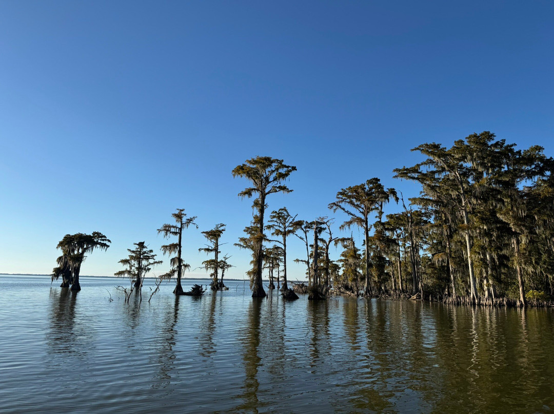Cajun Man's Swamp Tours & Adventures-Gibson必去景点