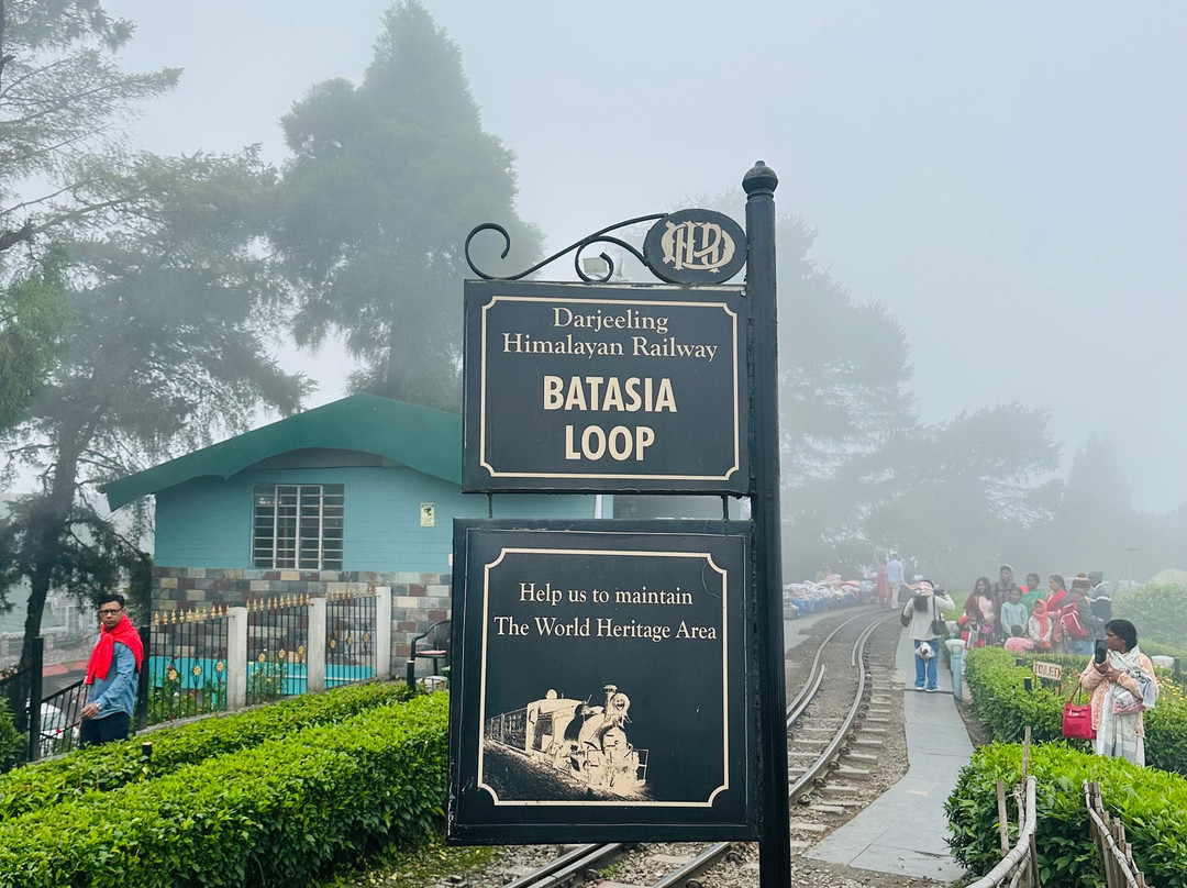 Batasia Loop-大吉岭必去景点