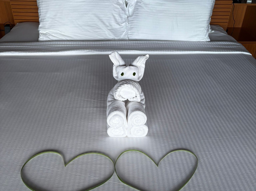 Cinnamon Velifushi Maldives主图