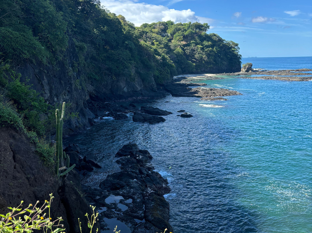 NexusTours-圣何塞必去景点