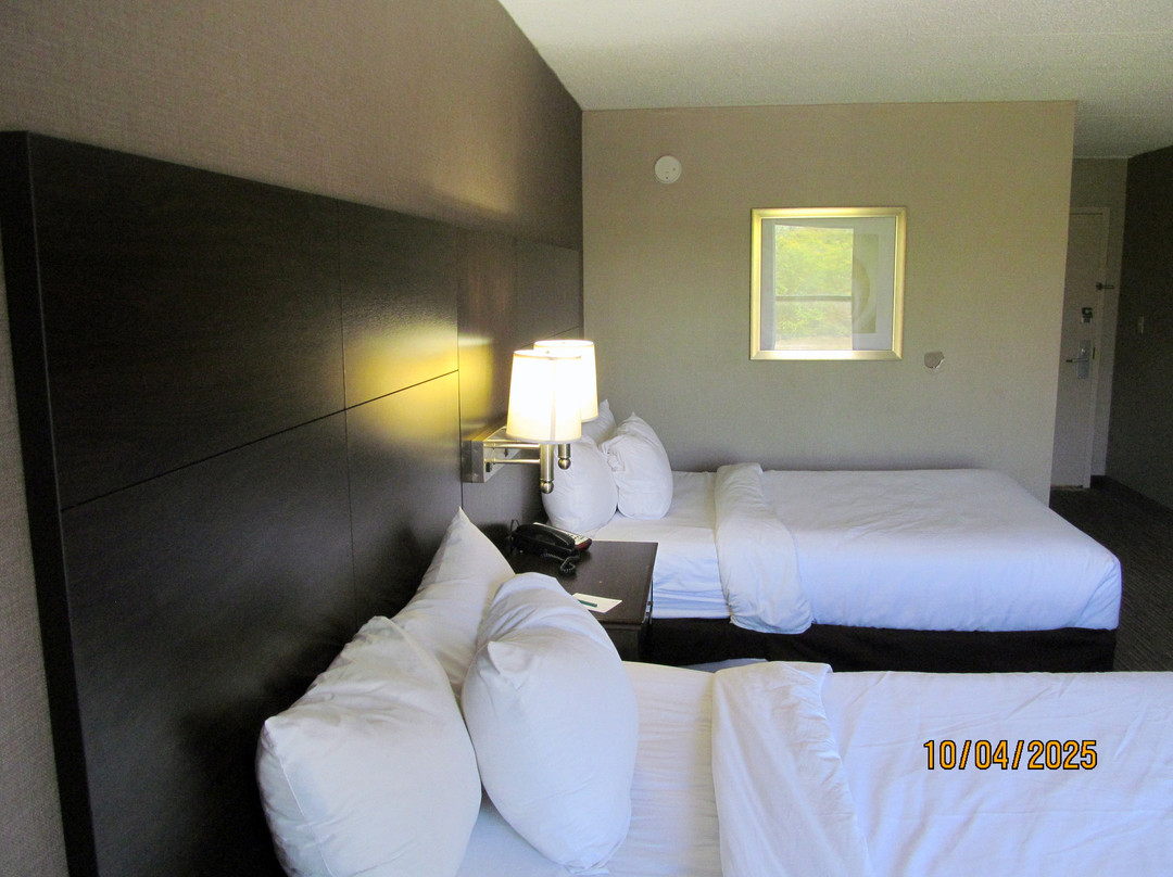 Quality Inn & Suites主图