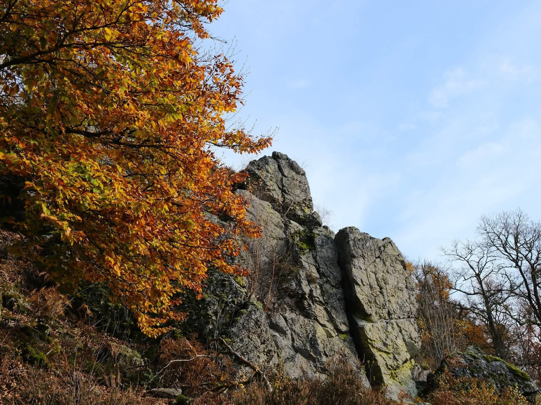 Reserve Naturelle de la Roche a l'Appel-Florenville必去景点