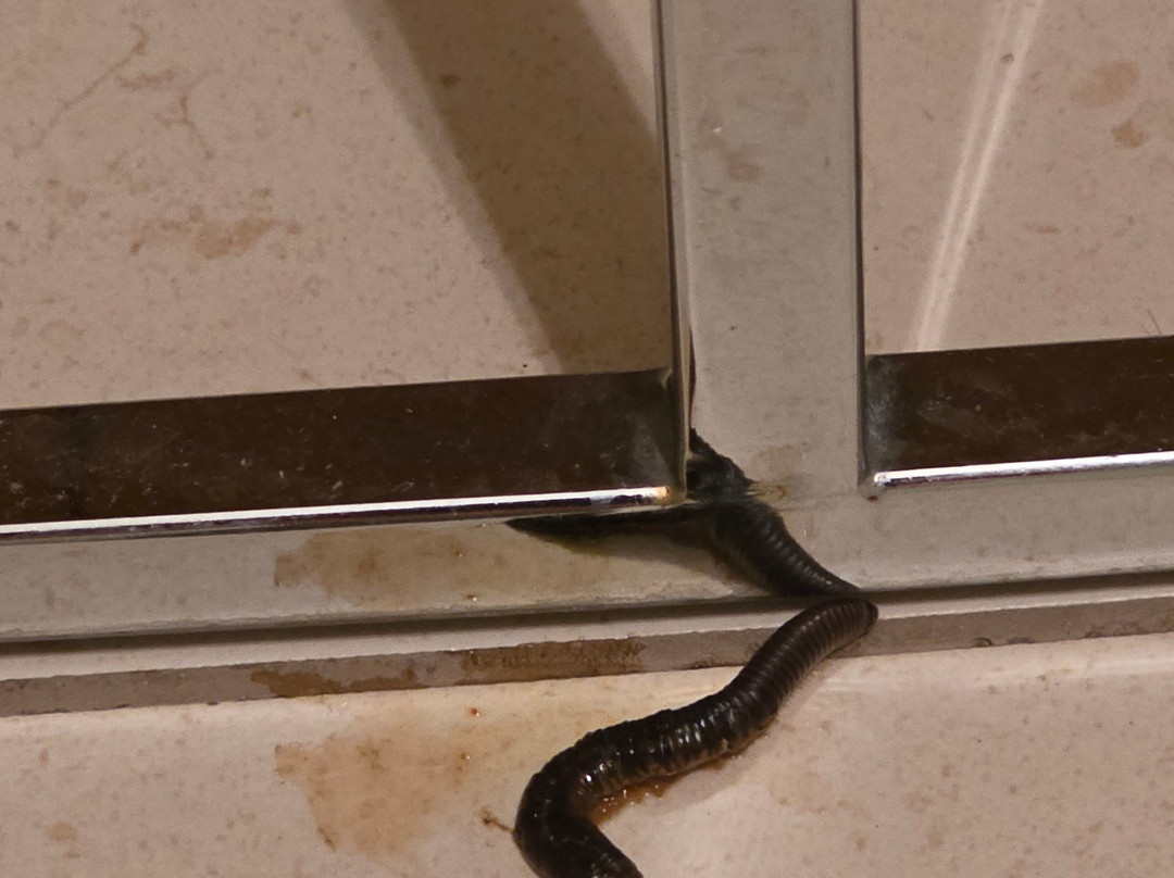 The Noverian Scenic Crete 5* Hilltop Villa Resort & Spa主图