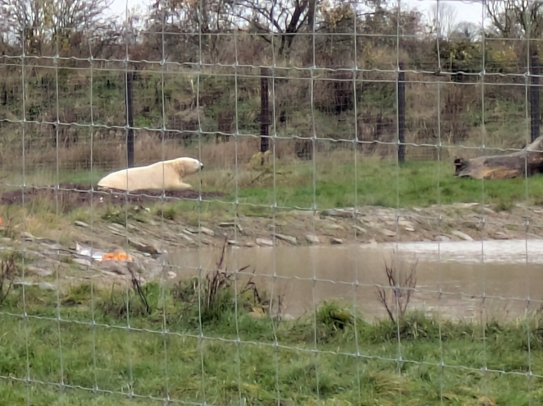 Peak Wildlife Park-Winkhill必去景点