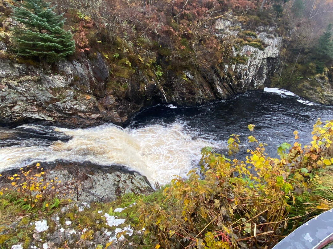 Falls of Shin-Lairg必去景点
