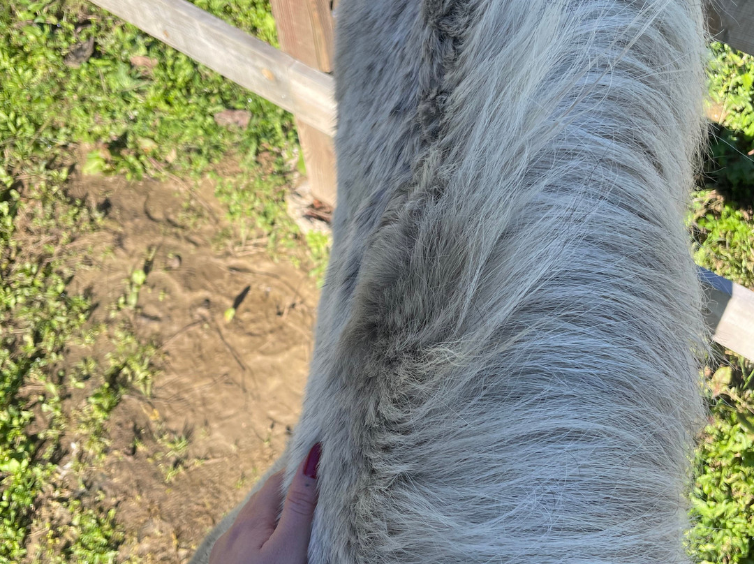 Via Natura-Kleidonia必去景点