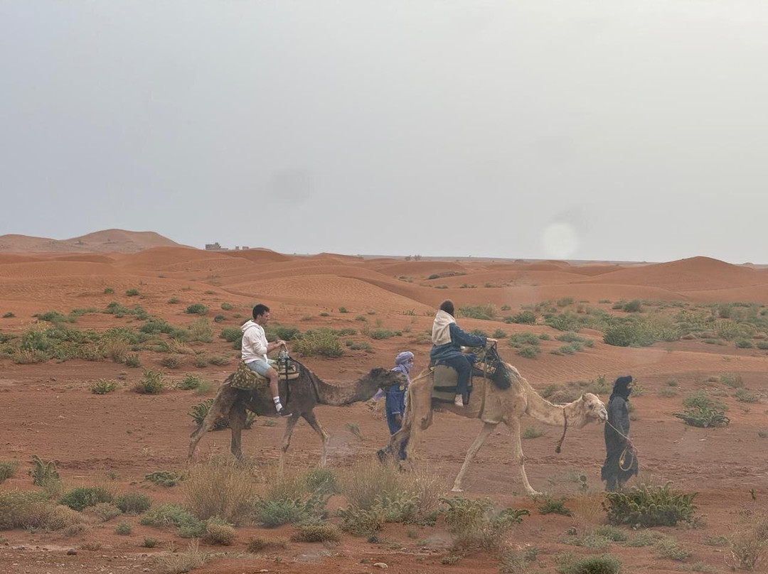 Desert Unlimited Morocco - Day Tours-瓦尔扎扎特必去景点