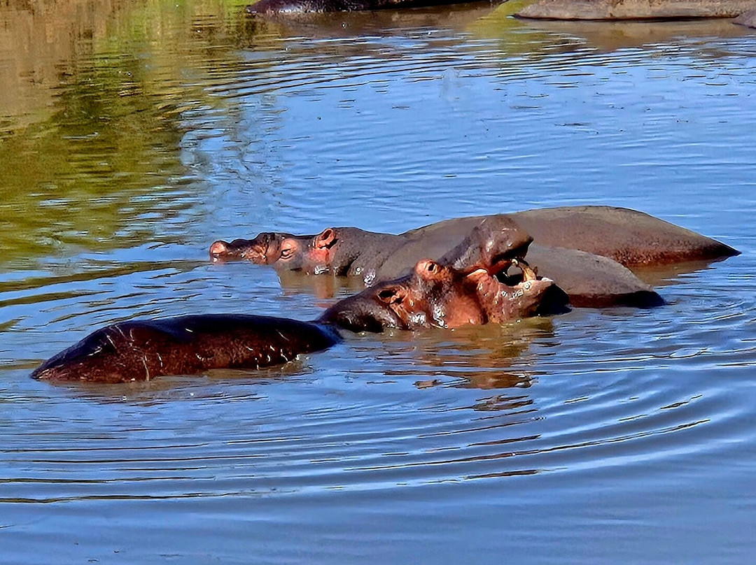 EXG Safaris LLC-California City必去景点