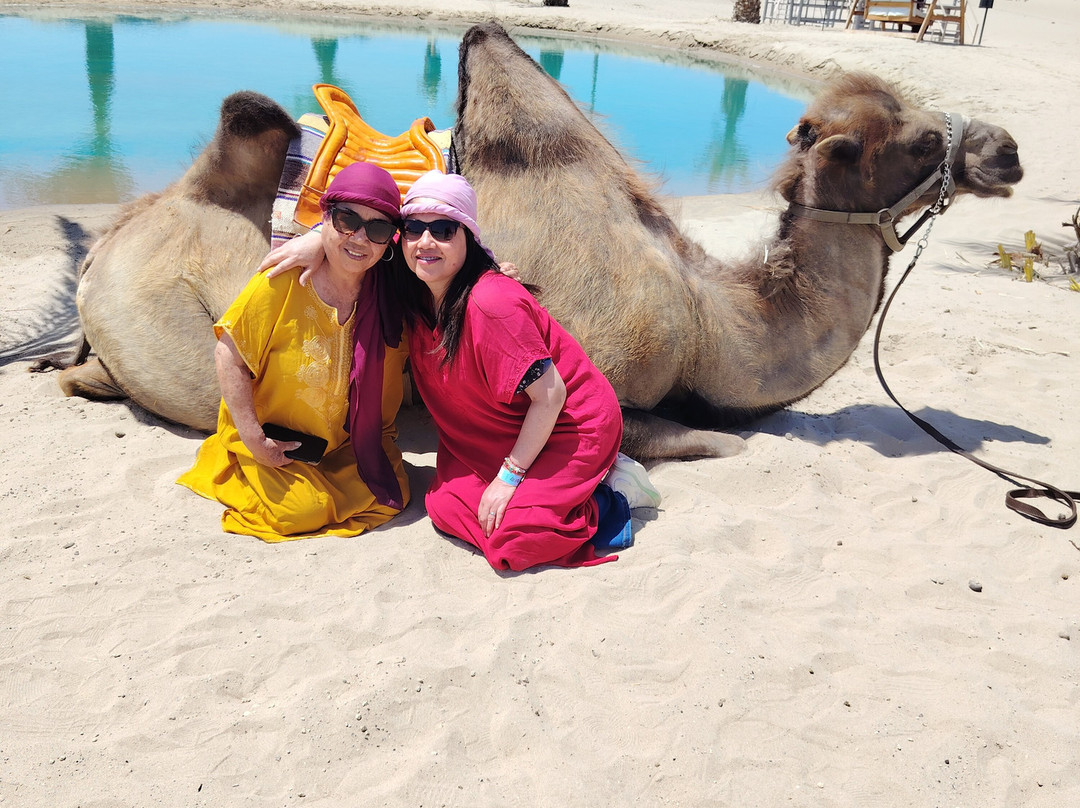 Dromedarius-伊卡必去景点