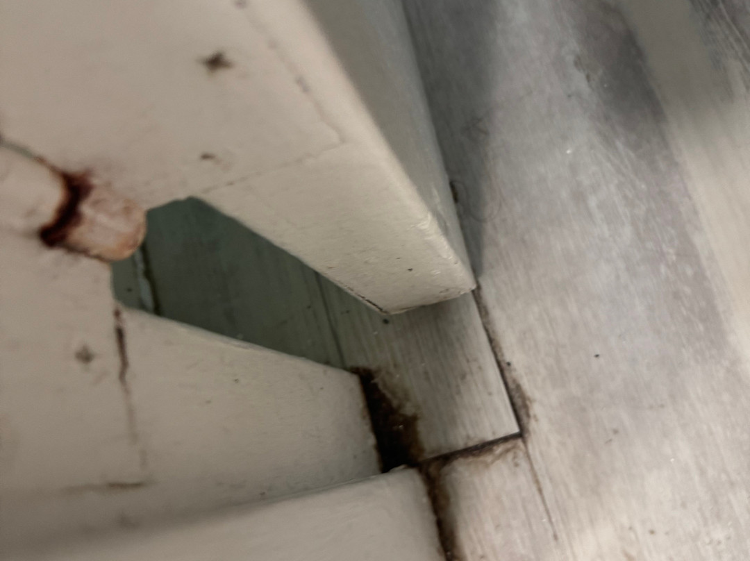 Best Western Bordentown Inn主图