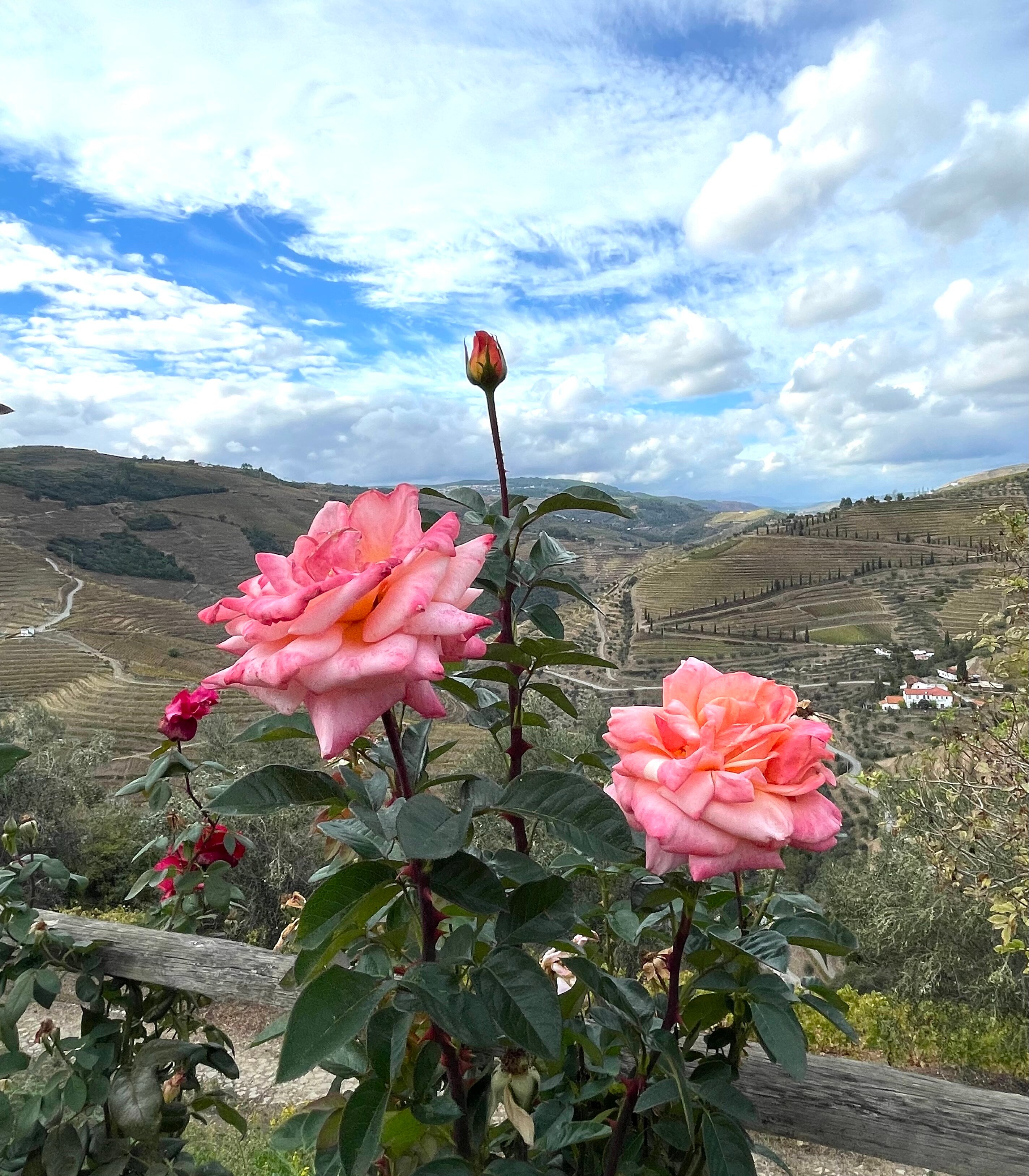 Hotel Quinta do Silval-官方