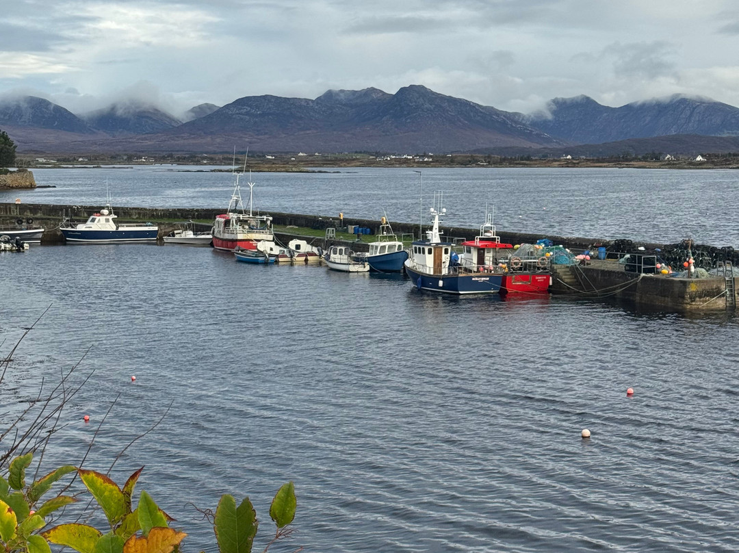 Glenbeg Tours-戈尔韦必去景点