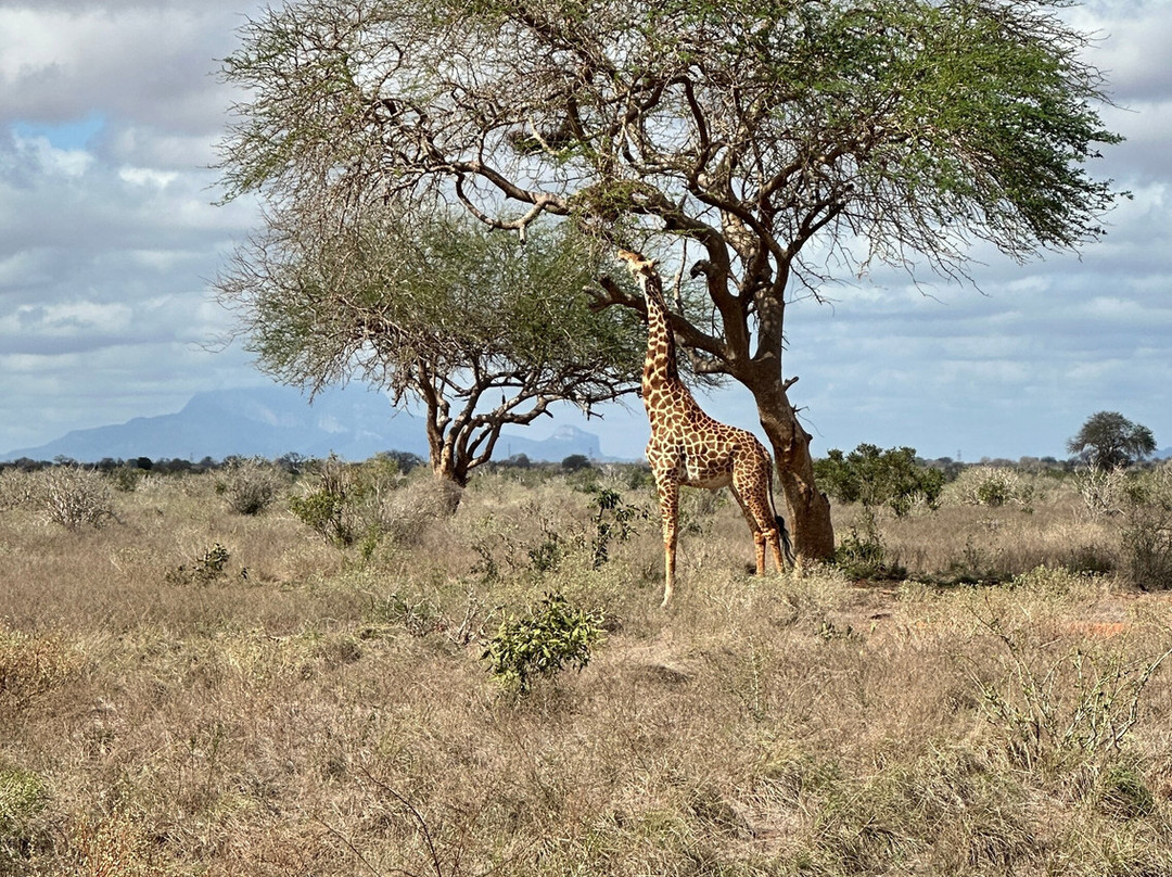 Travel Tamaro Adventures-迪亚尼必去景点