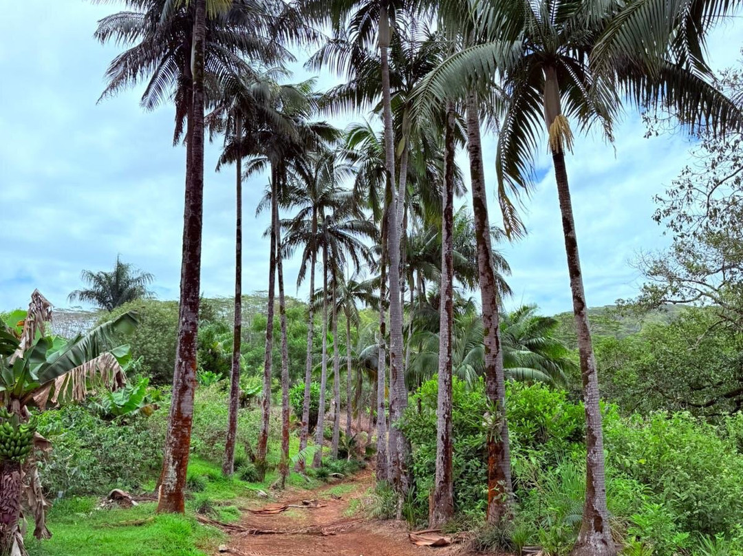 Excursion Ile Maurice-路易士港必去景点