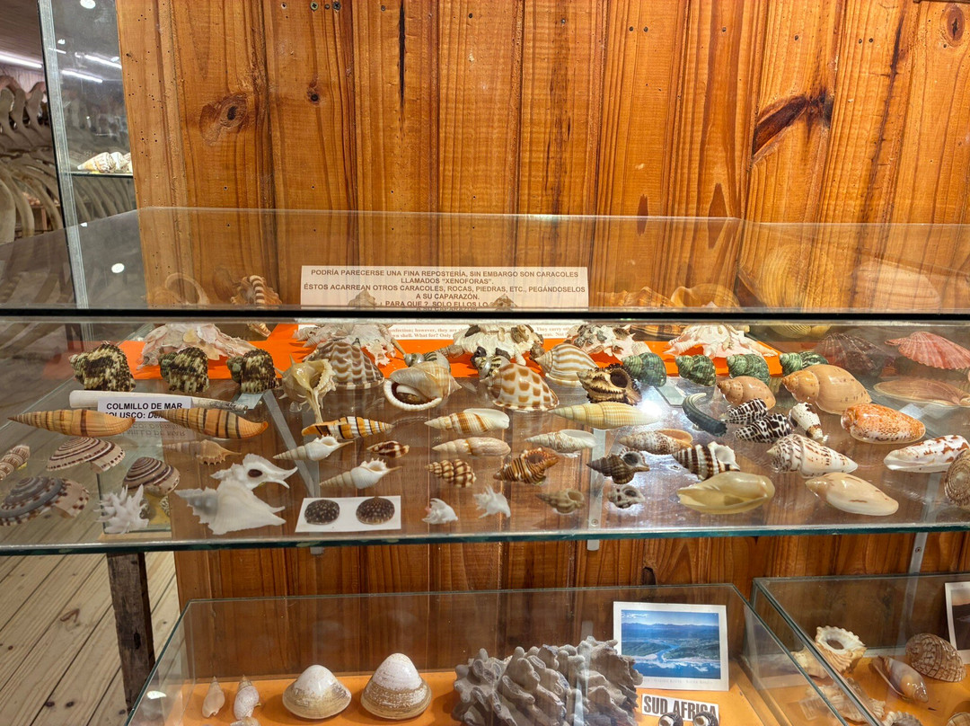海洋博物馆-La Barra必去景点