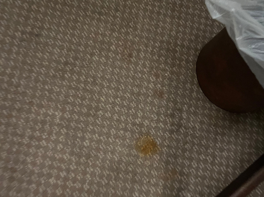 The Speech House Hotel主图