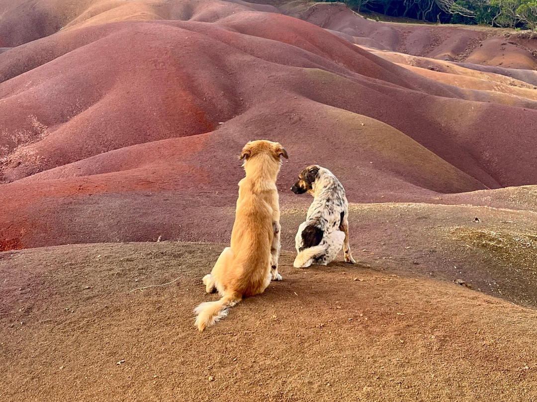 Taxis Mauritius-Plaine Magnien必去景点