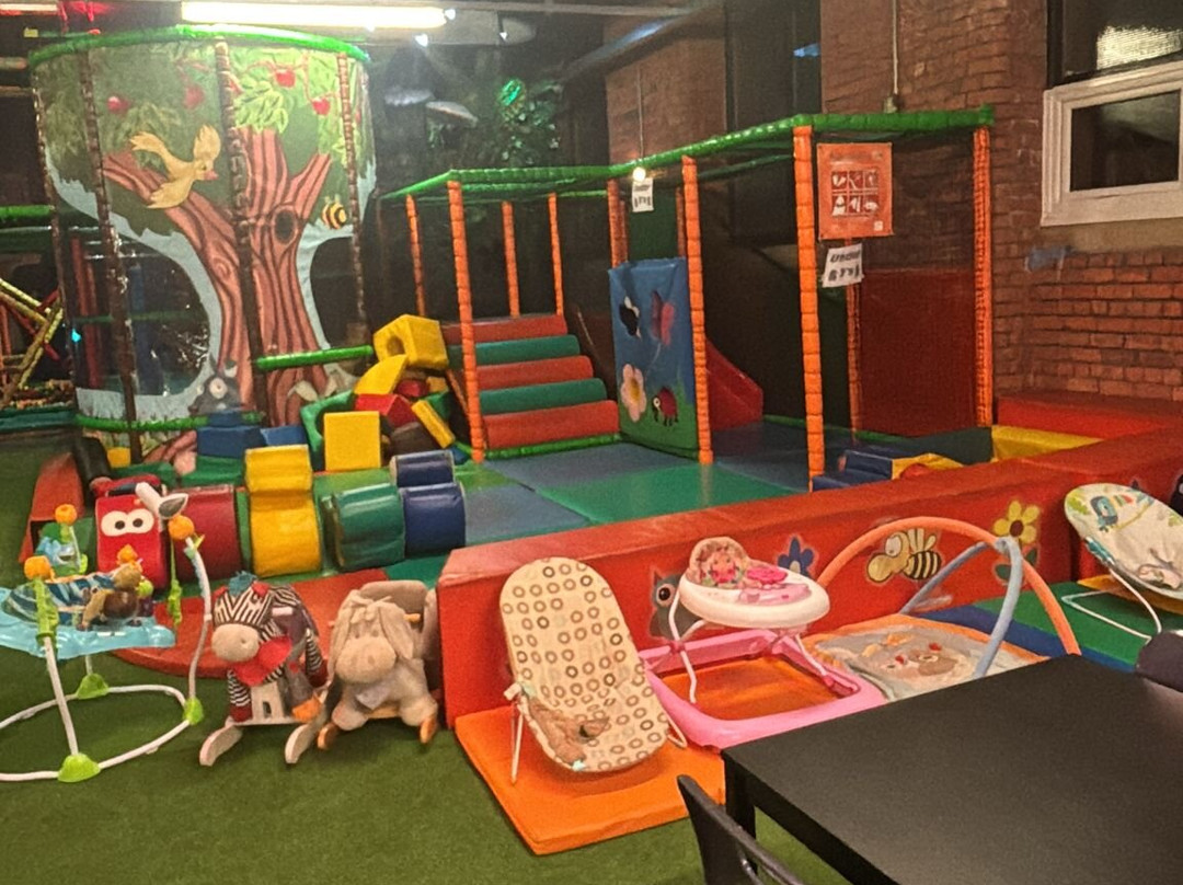 Charlie park Parties and softplay-Atherton必去景点