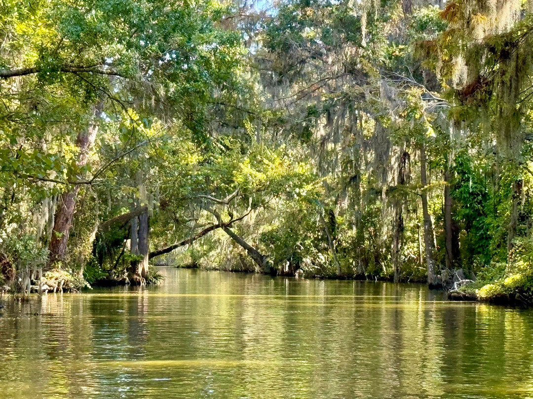 Mount Dora Boating Center & Marina-Mount Dora必去景点