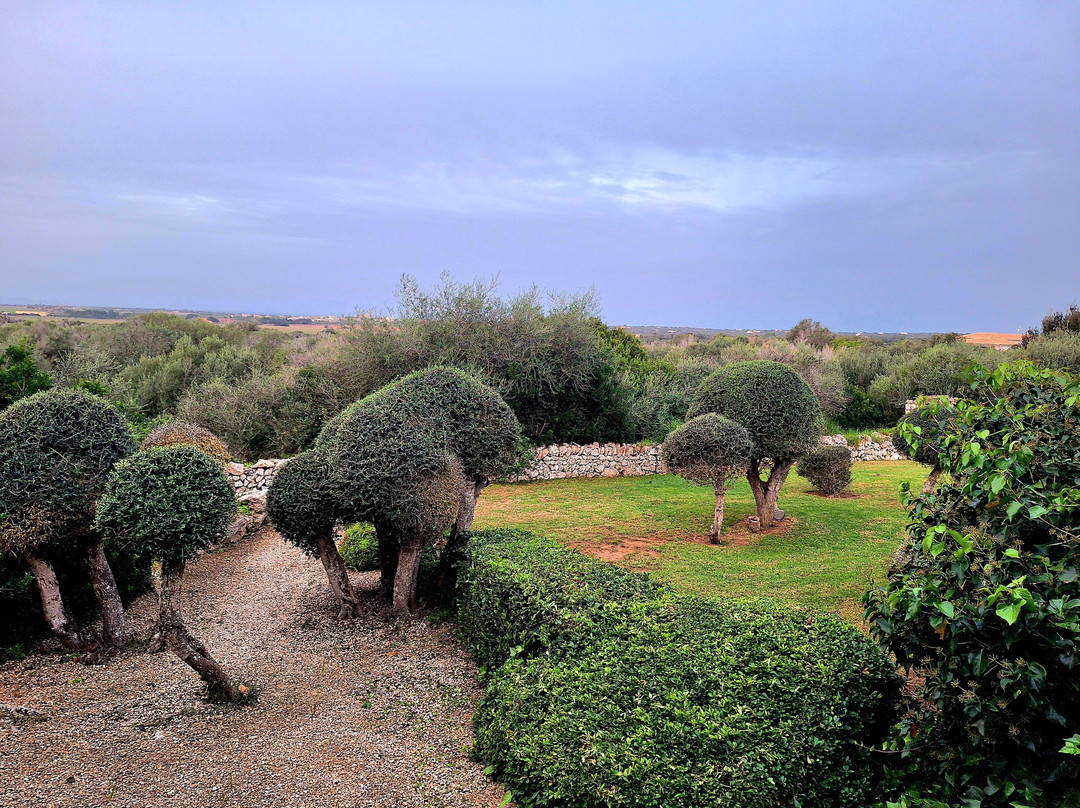 Es Turo Finca Hotel Rural主图