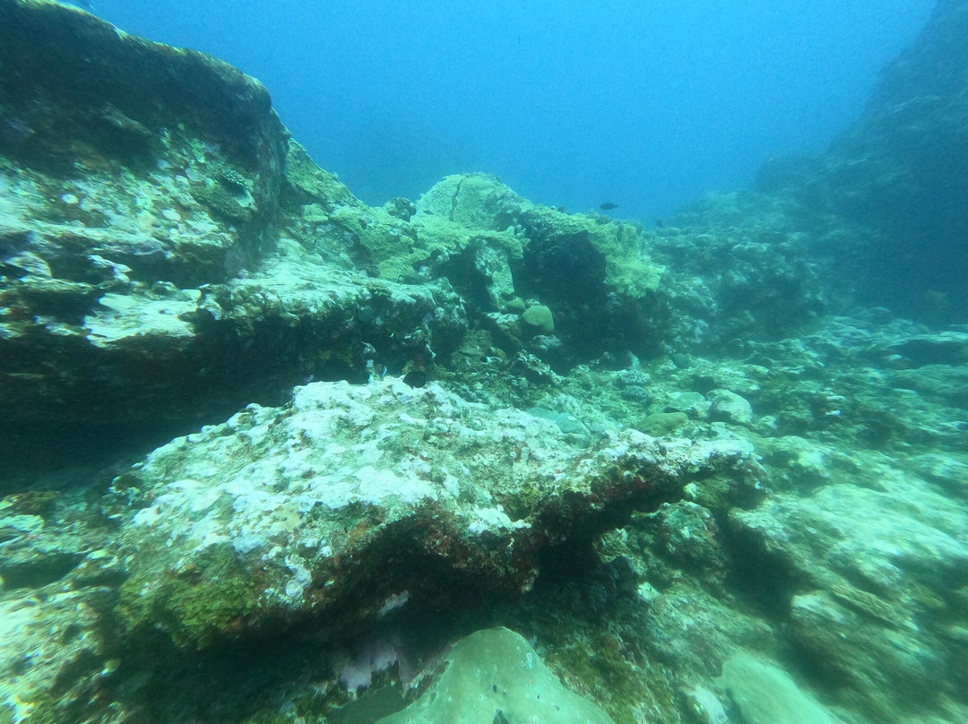 Scuba World Diving Mauritius-马喜埔必去景点