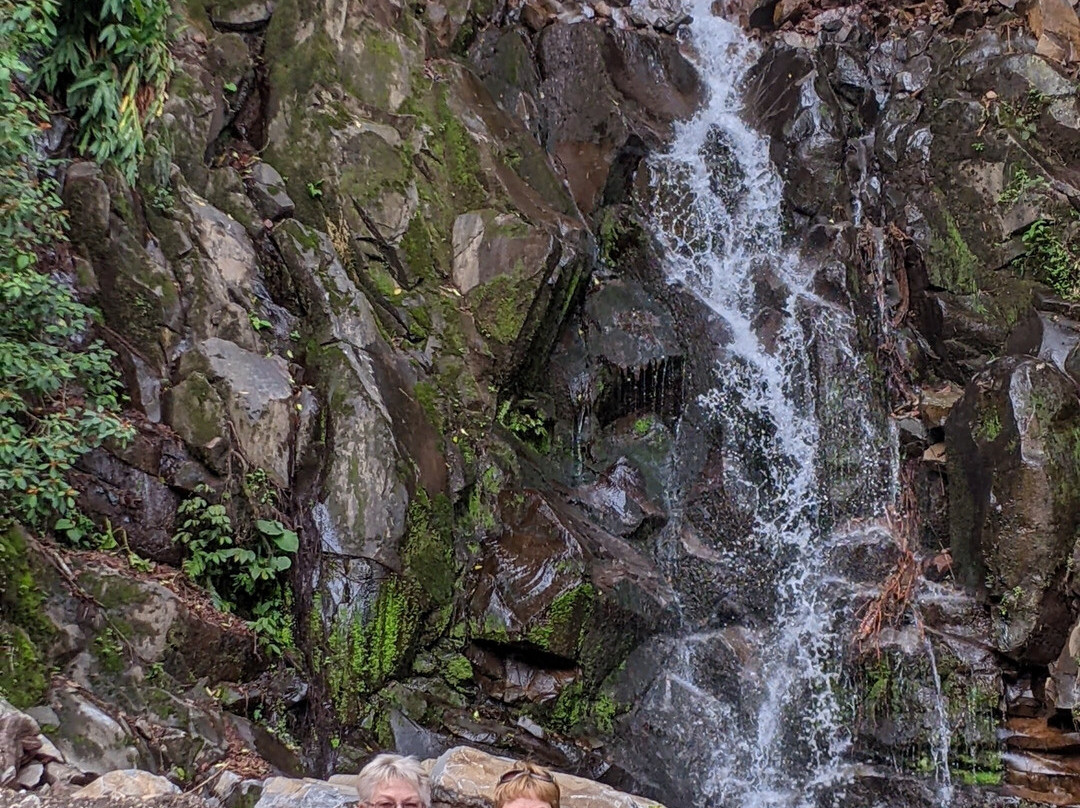 Retire in Panama Tours | Move to Panama | Panama Relocation Experts-波魁特必去景点