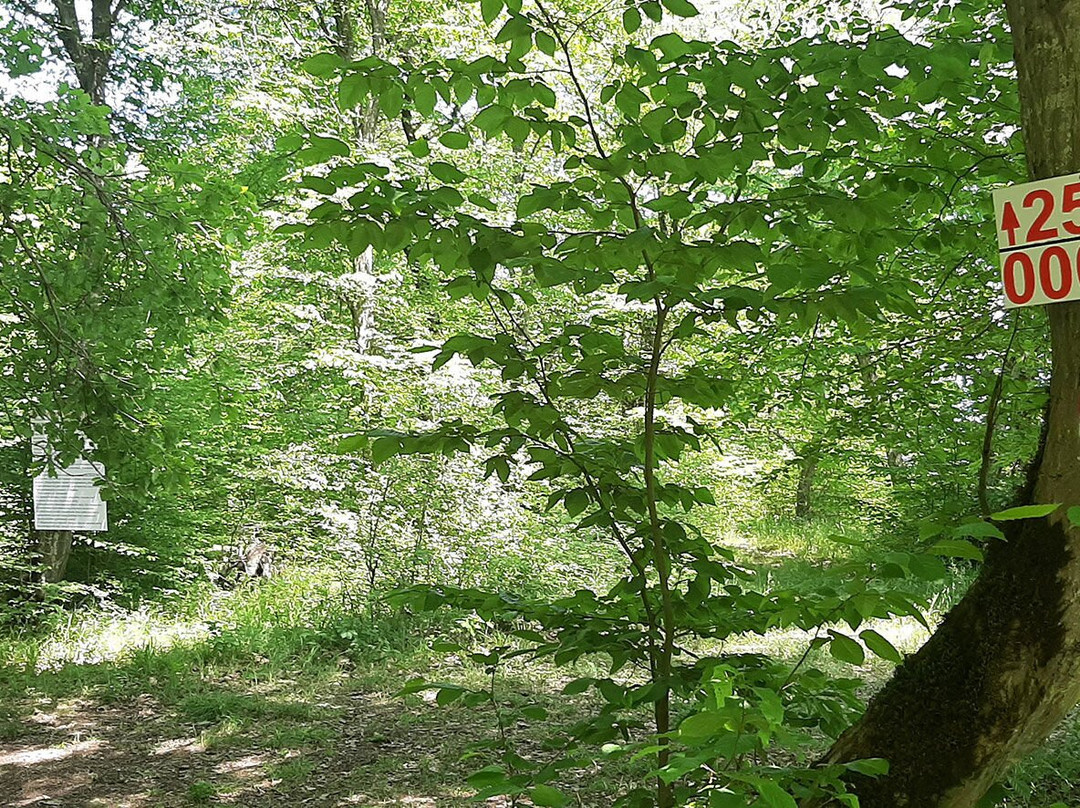 Qusar Terrenkur-Qusar必去景点