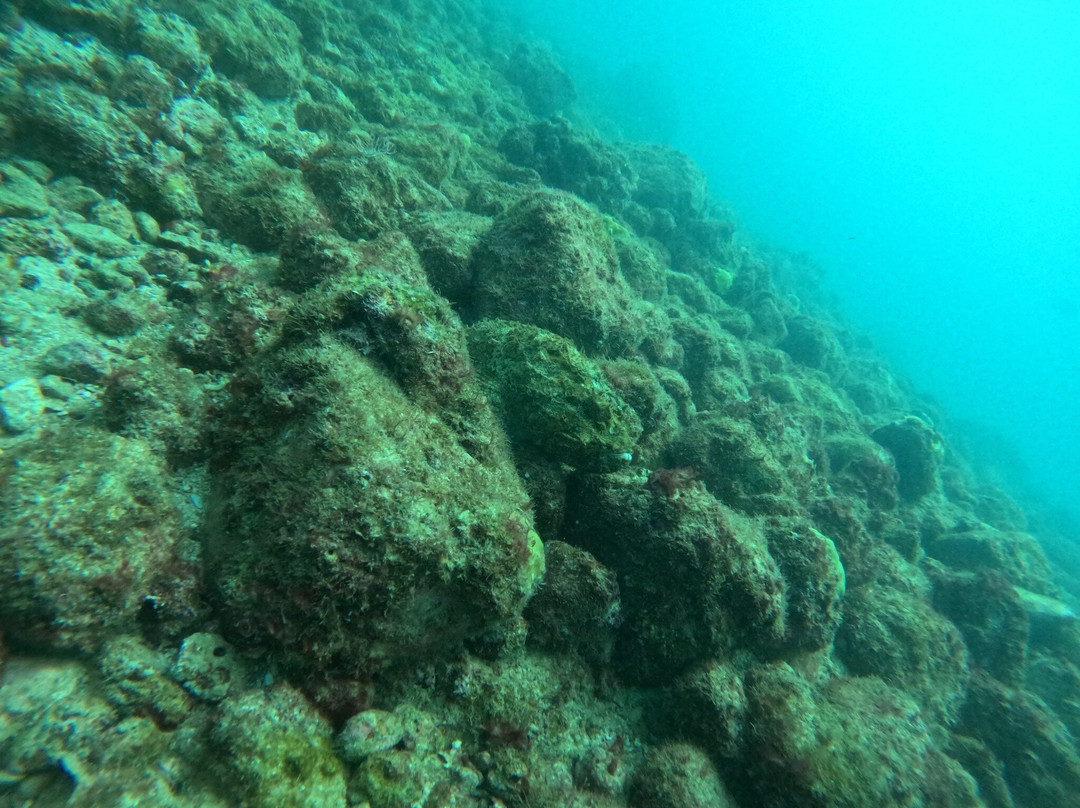 Scuba Steve-新瓦雅塔必去景点