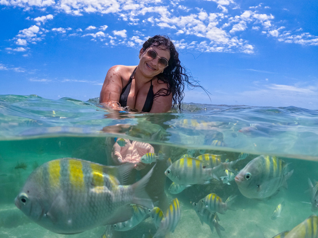 Foz do Rio São Francisco-Piacabucu必去景点