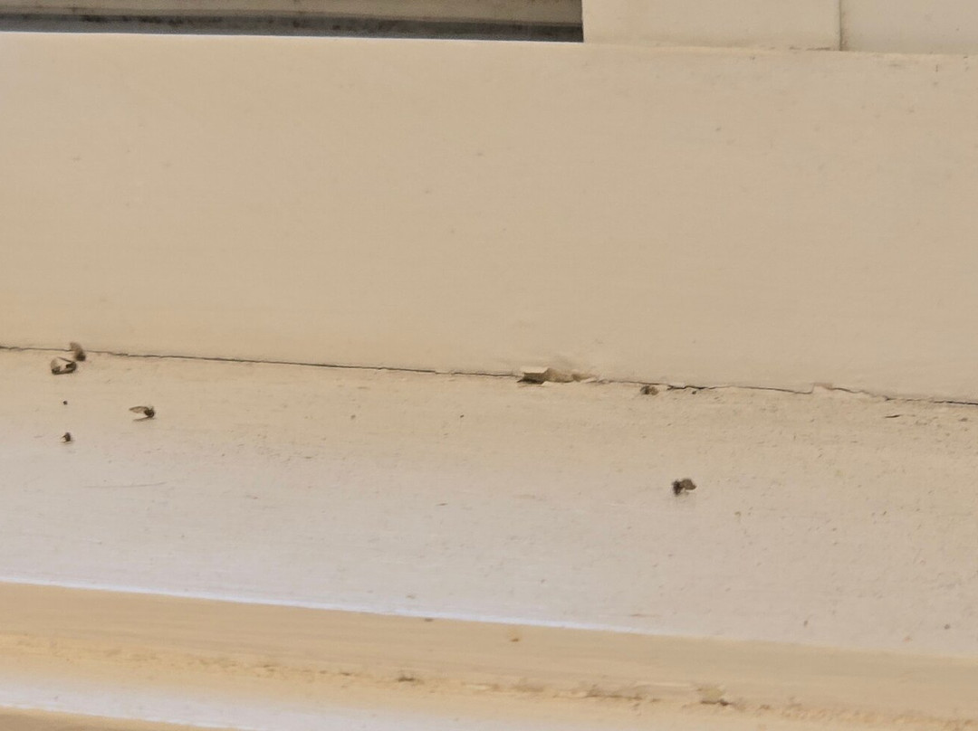 Merimbula Gardens Motel主图