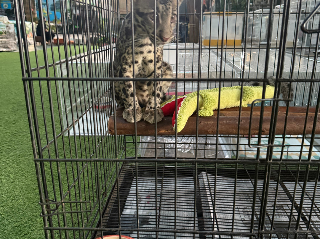 Monster Aquarium-芭堤雅必去景点