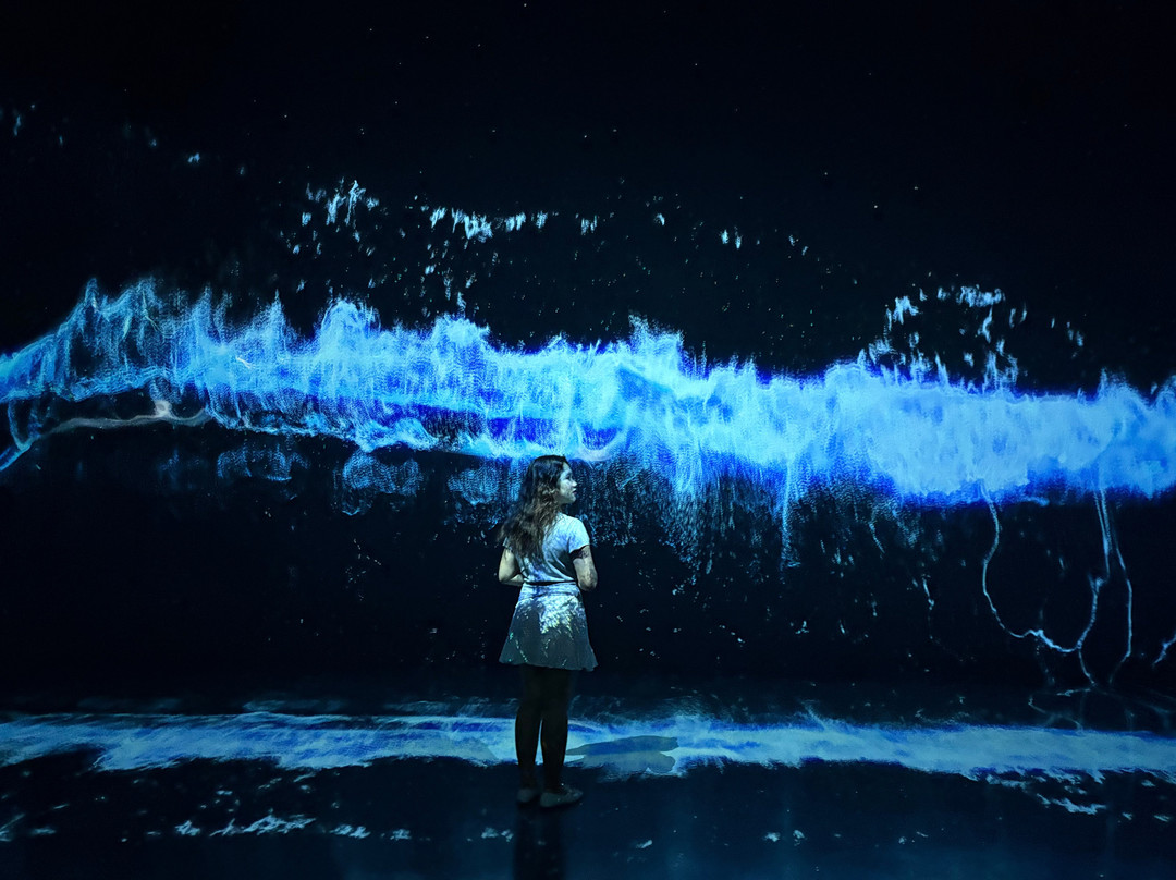 ARTE MUSEUM DUBAI-迪拜必去景点