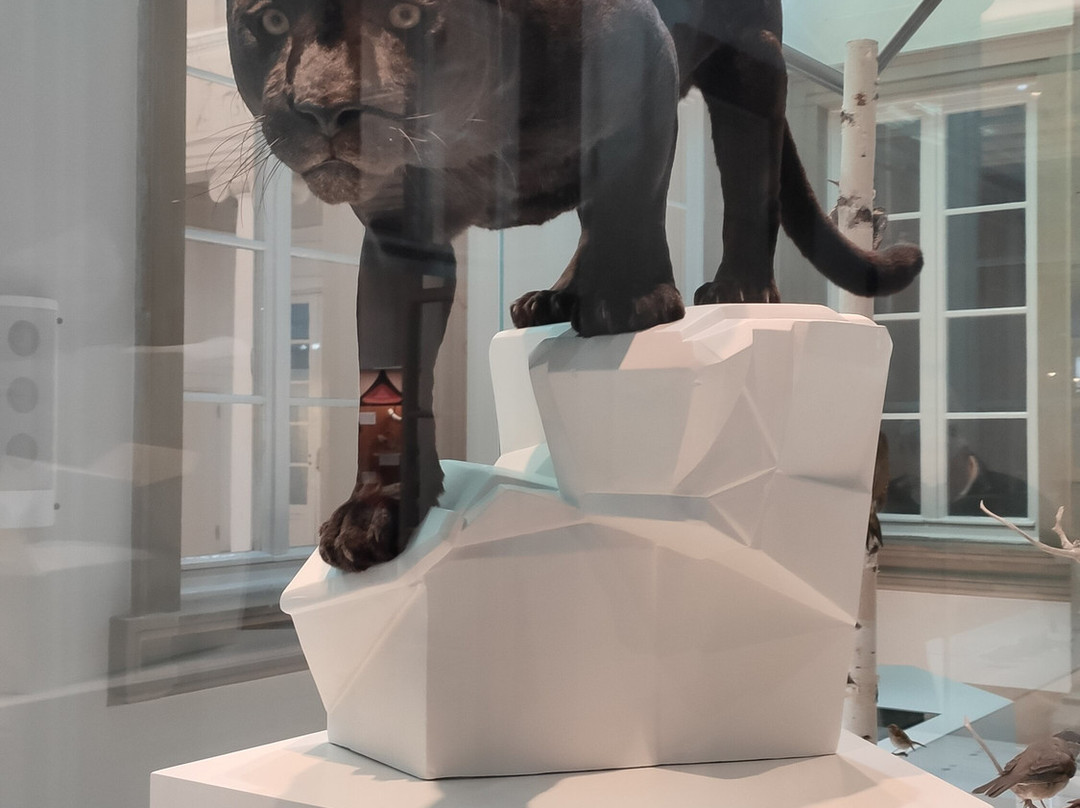 Naturkunde Museum Stuttgart-斯图加特必去景点