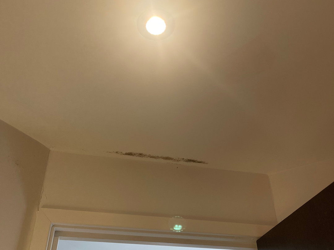 普瑞米尔哈洛酒店主图