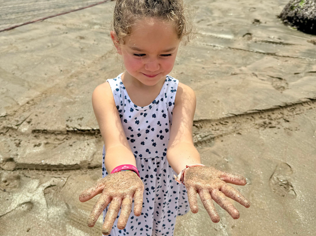 Gattokko - Safari e Tours in Kenya-瓦塔木必去景点