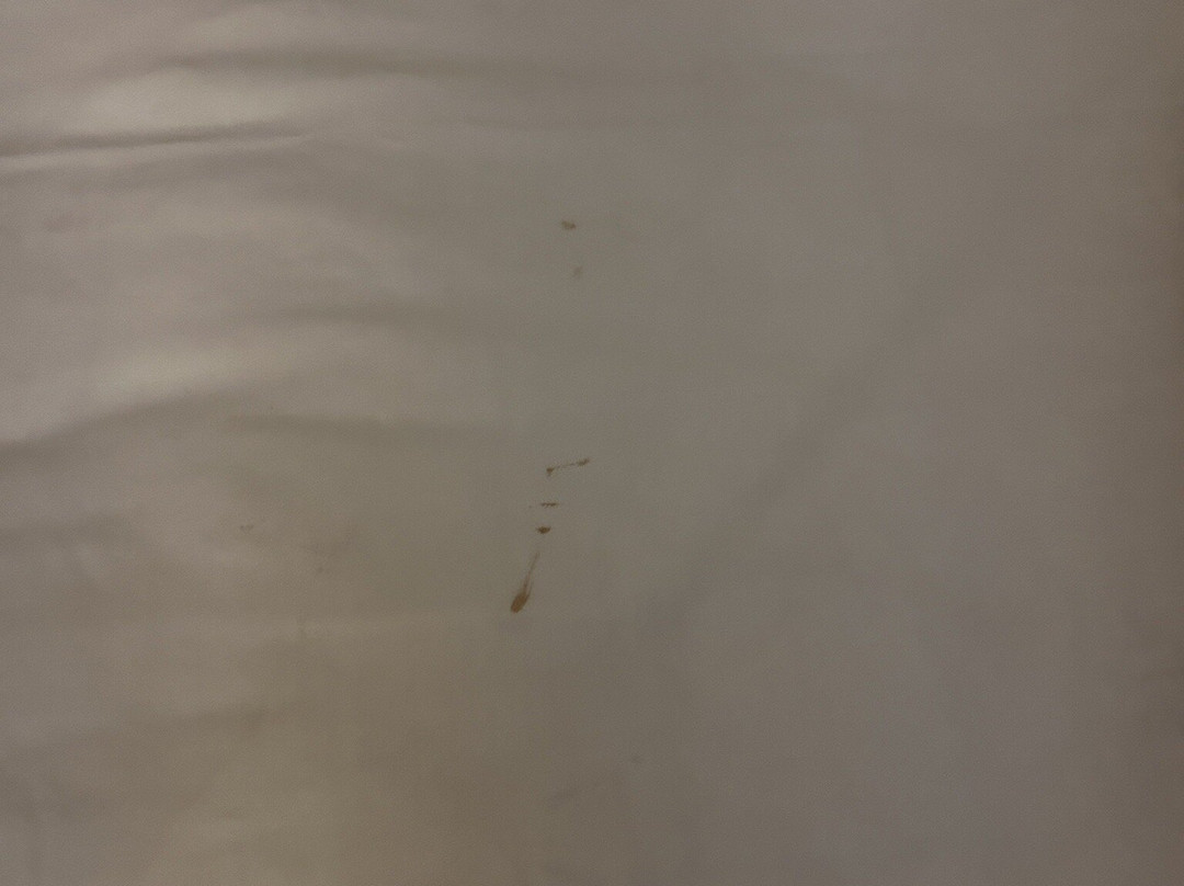 潘帕快捷假日&套房酒店主图