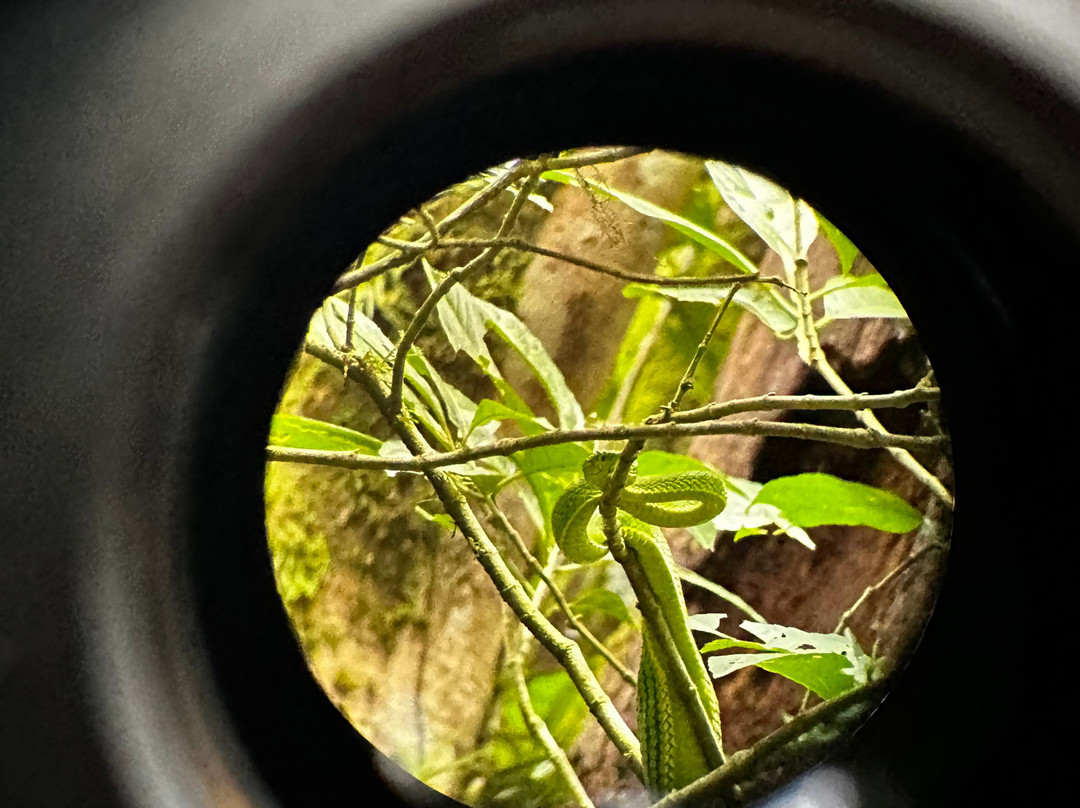 JC Nature Tour-蒙特维多云雾森林自然保护区必去景点