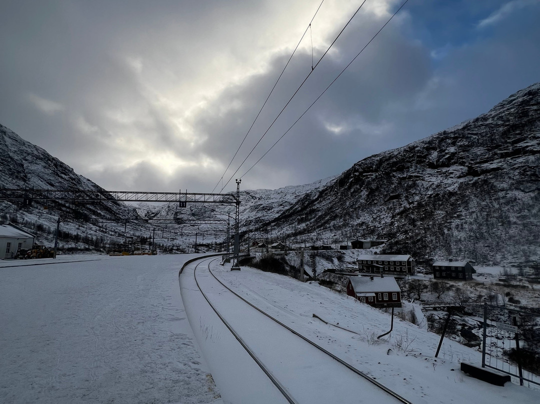 Myrdal Station-米达尔必去景点