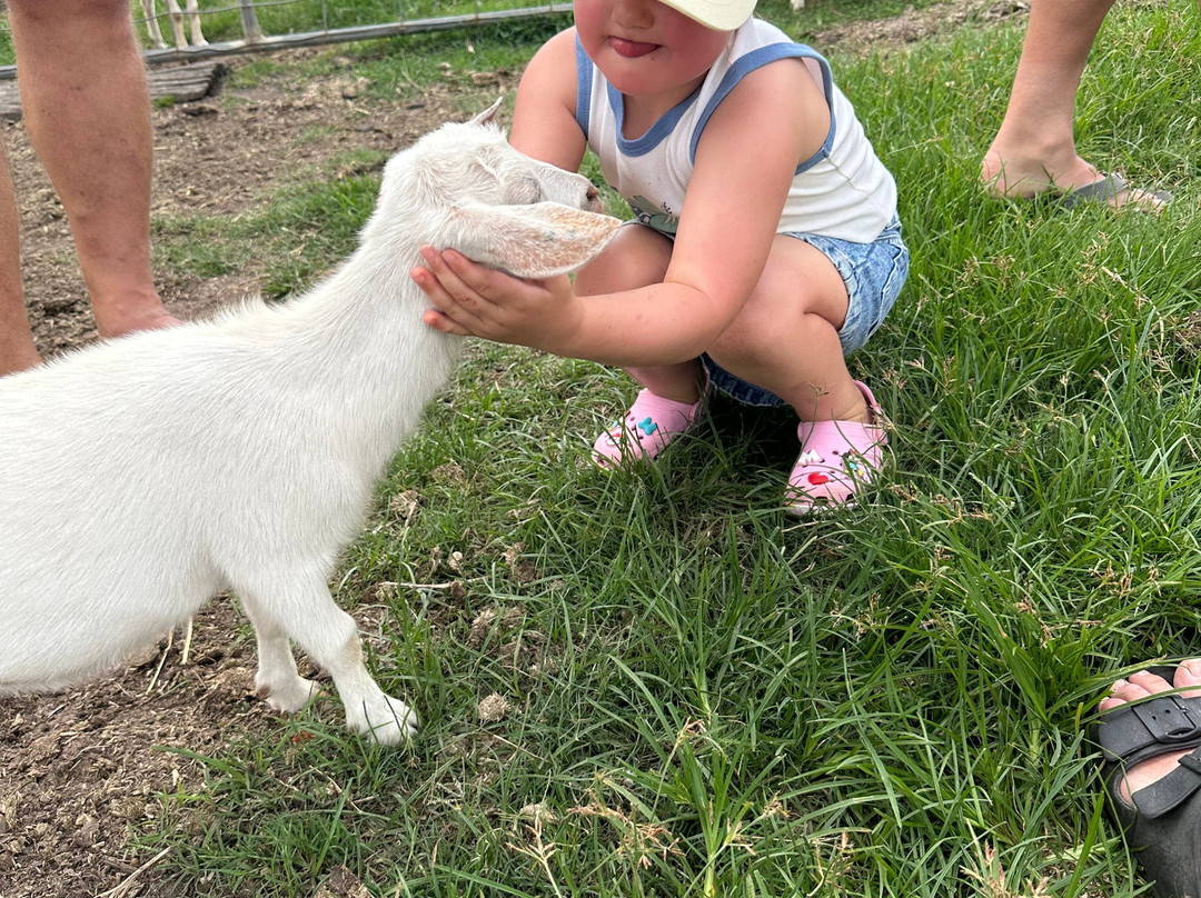 Splitters Farm-邦德堡必去景点