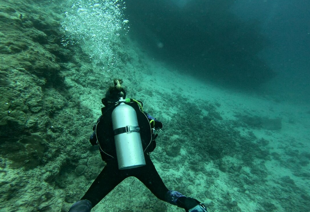 Prodivers Maldives-古丽都岛必去景点
