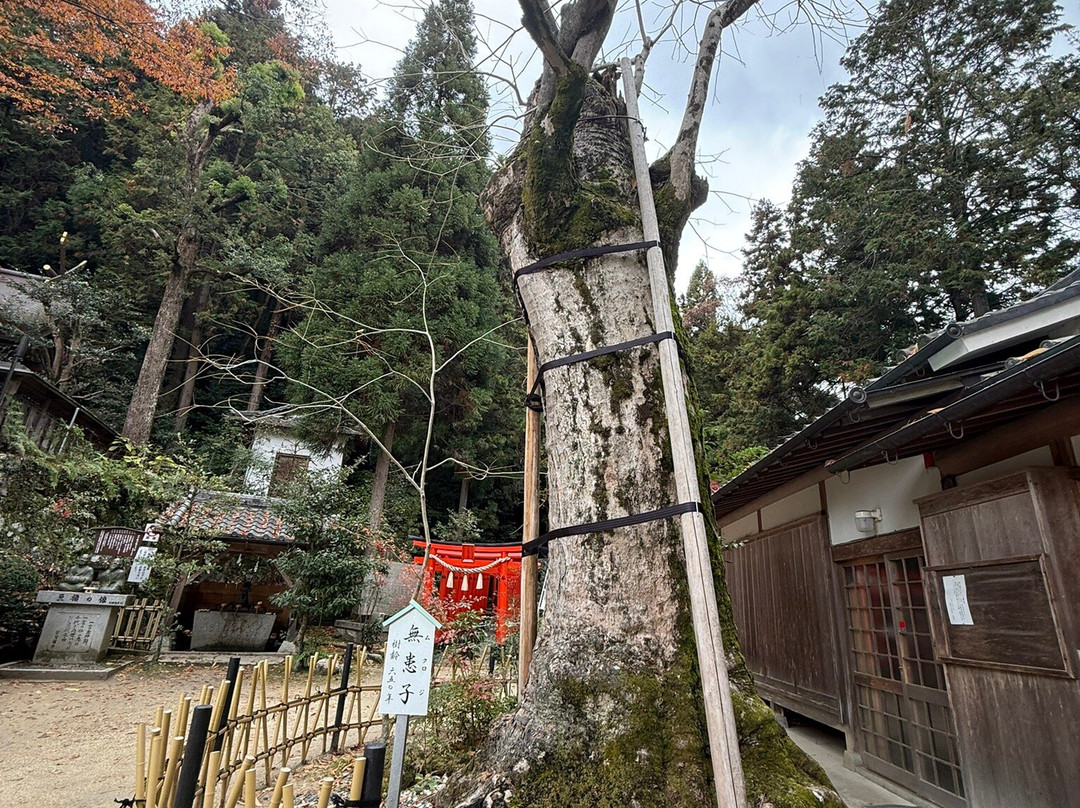 Katsuragi Hitokotonushi Shrine-御所市必去景点