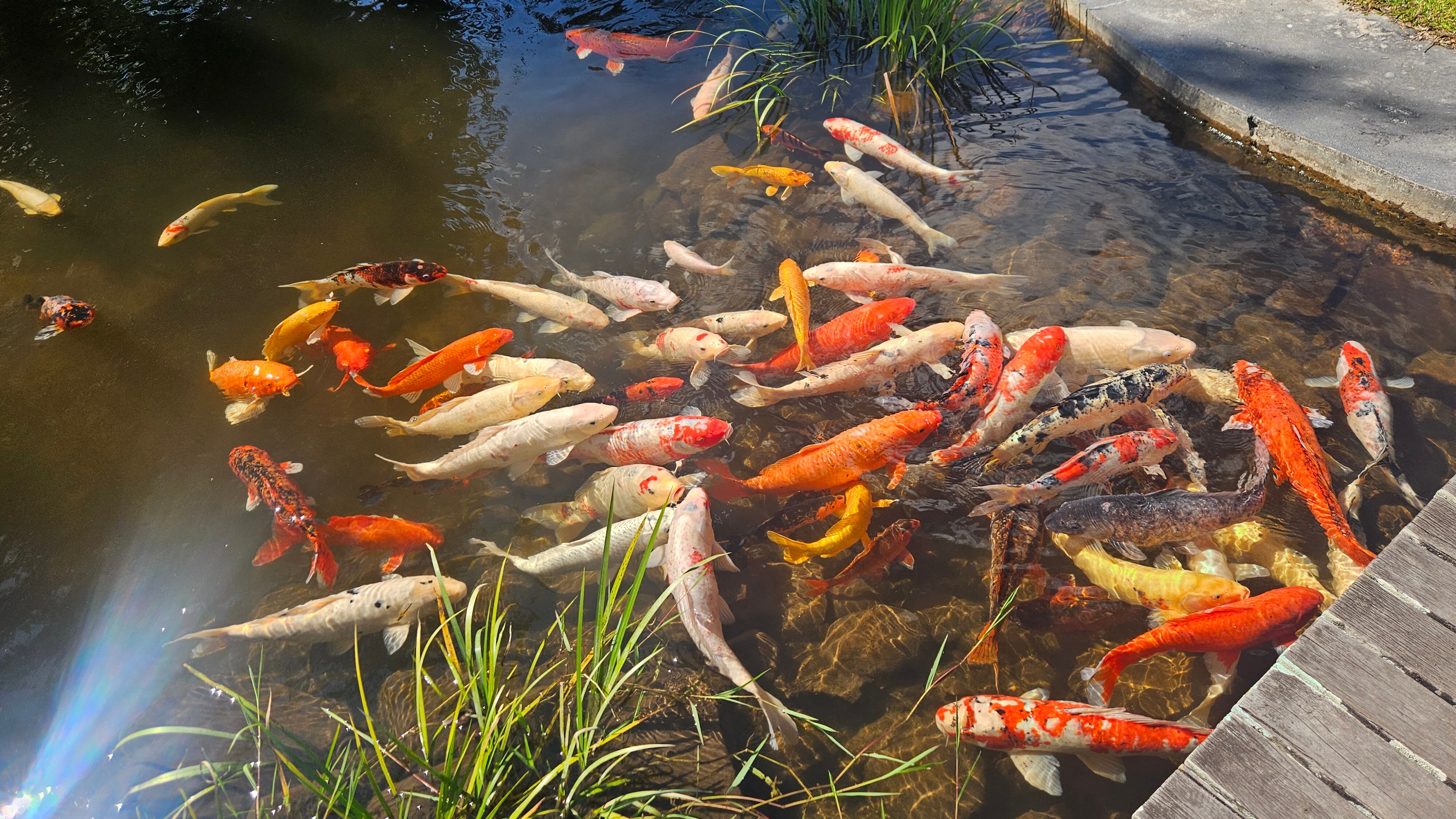 Namkat Yorla Pa Resort-官方