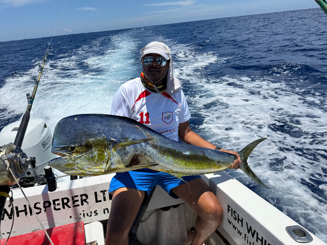 Fish Whisperer-黑河必去景点