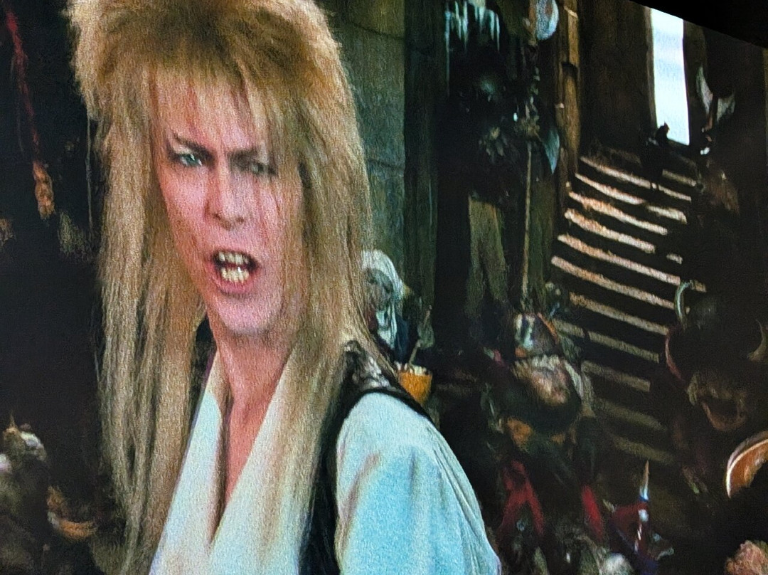 Sheffield City Hall-谢菲尔德必去景点