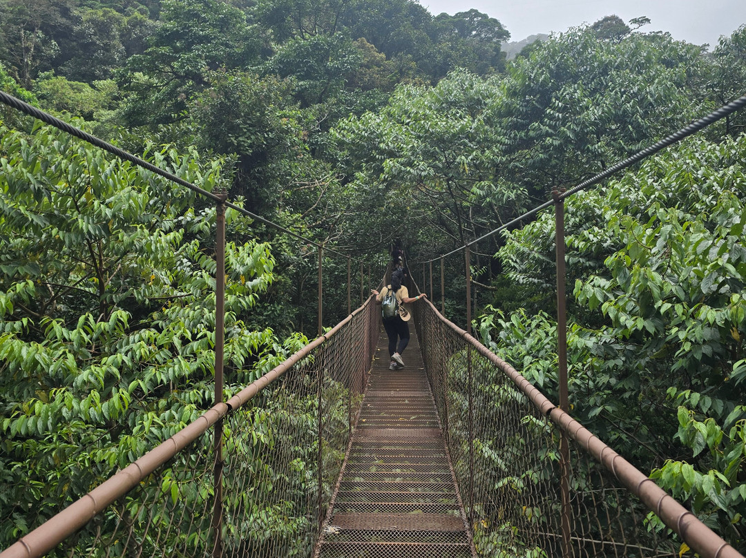 Tree Trek Boquete-波魁特必去景点