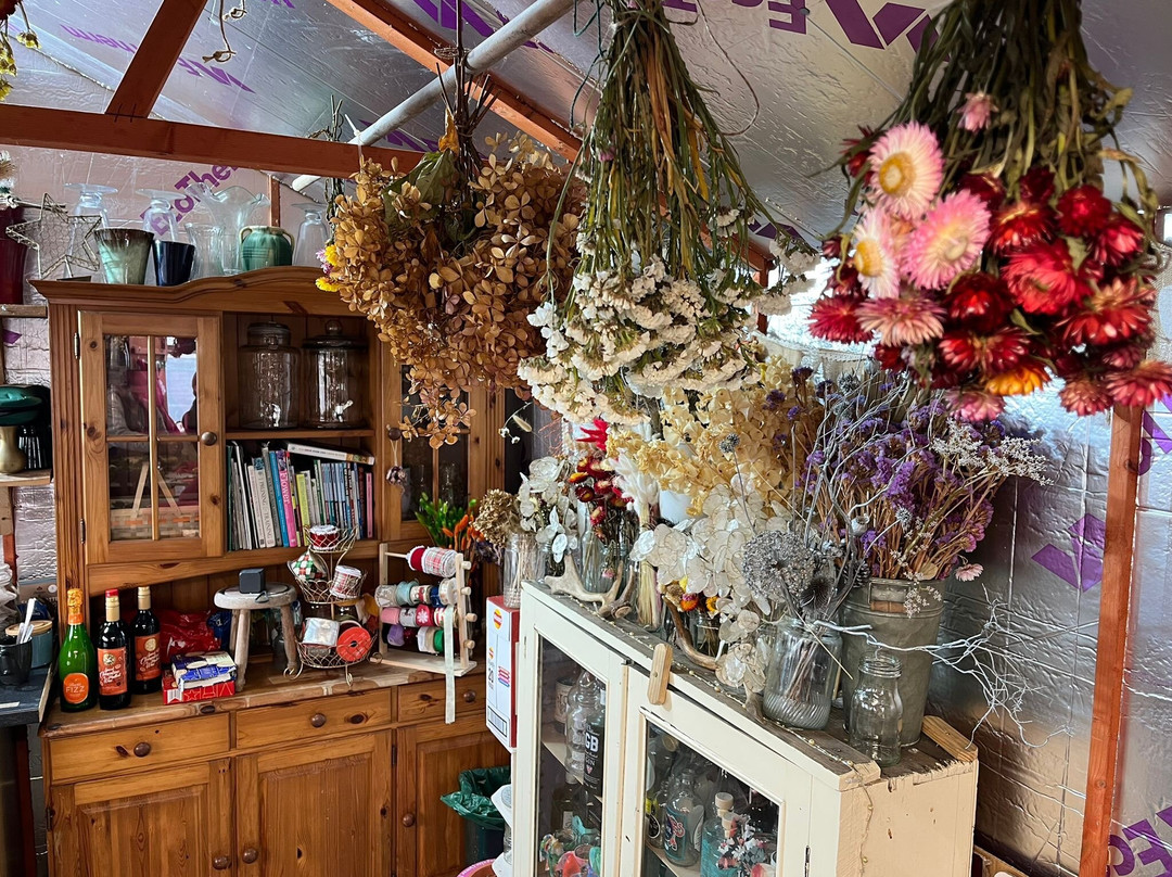 Hyde Flower Farm-Fordingbridge必去景点