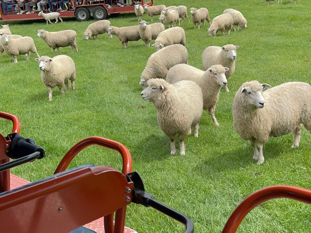 爱歌顿农场-侬格塔哈必去景点