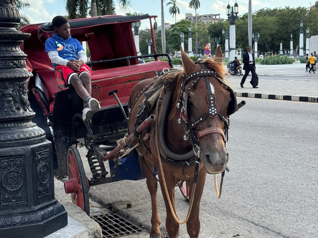 Ruscubadive-巴拉德罗必去景点