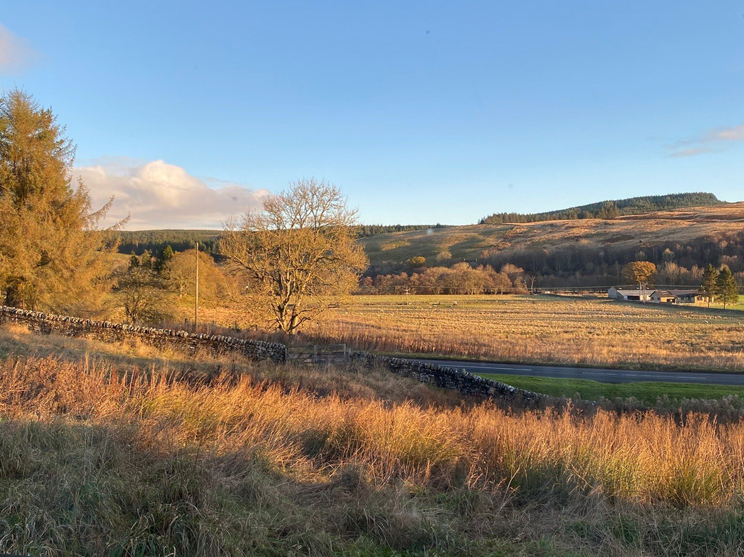 The Pheasant Inn主图